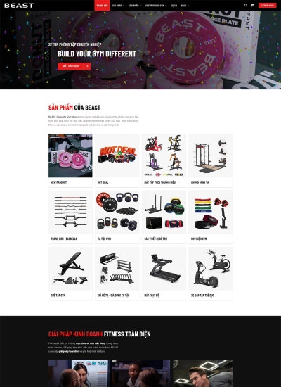 Beast Strength Vietnam - Setup phòng gym hoàn hảo