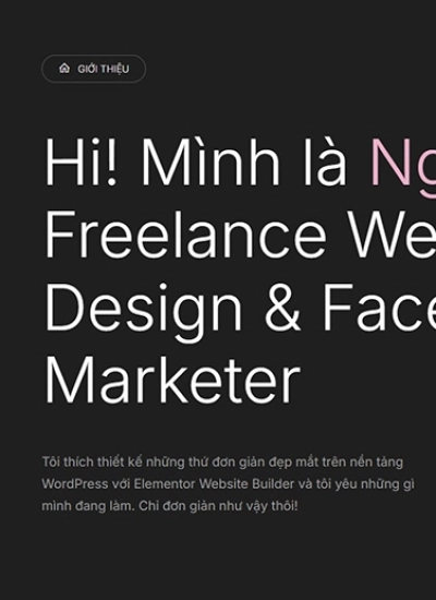 Nguyen Phan - Thợ xây website - Mẫu website HDWEBS