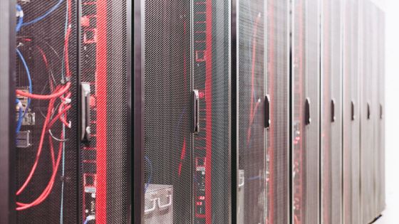 Hosting và tên miền: những điều cần biết trước khi làm web