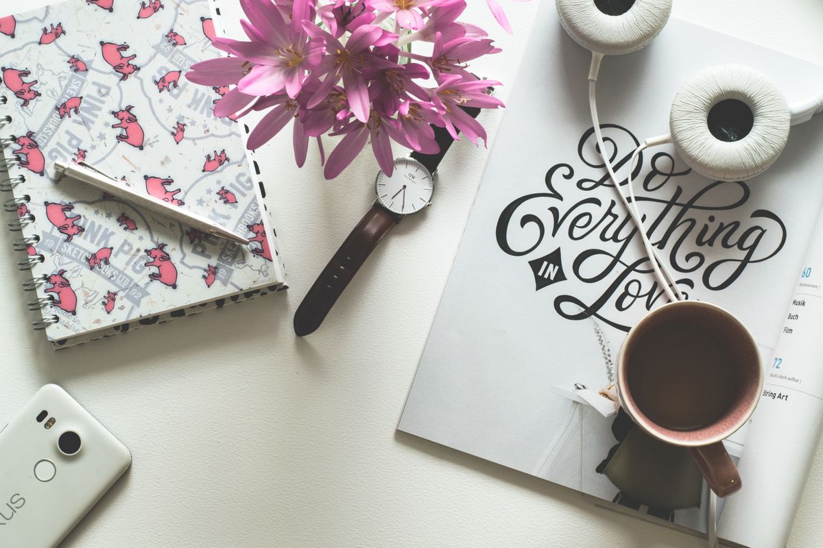 Website spa thú cưng, thú y cần gì?